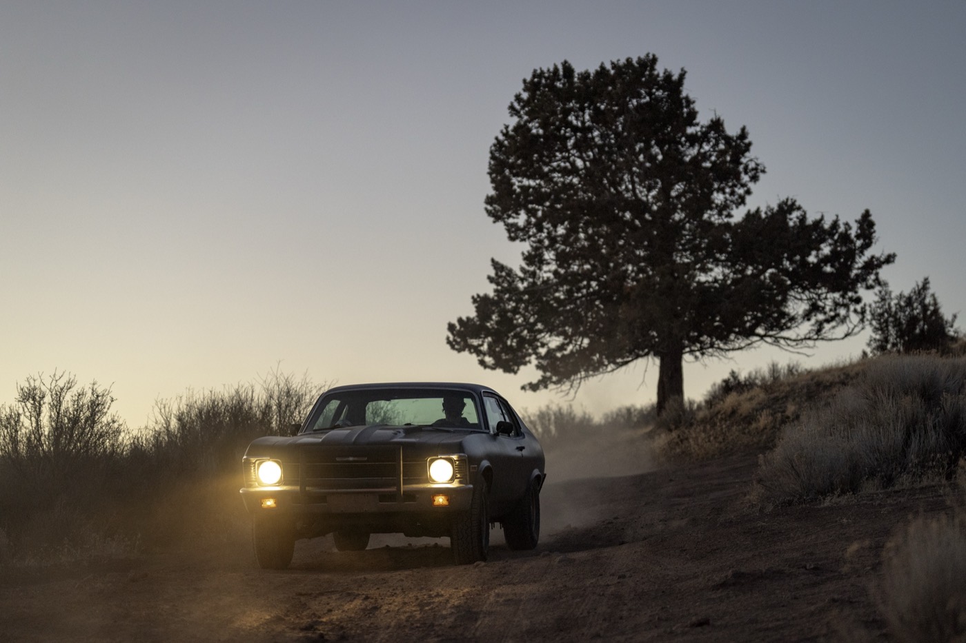 The car passing a lone juniper tree at golden hour